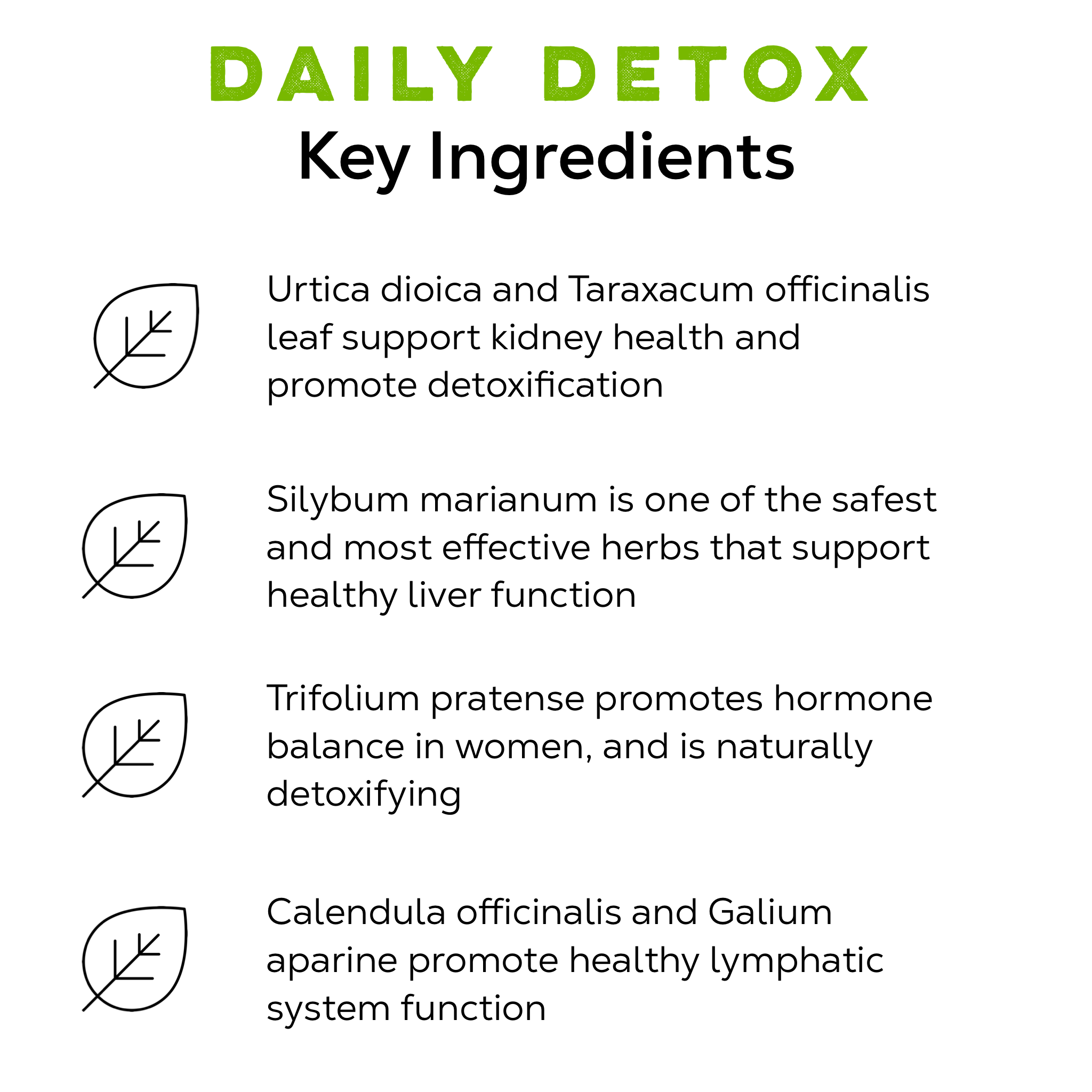 Detox Tea - Caffeine-Free - Image 10