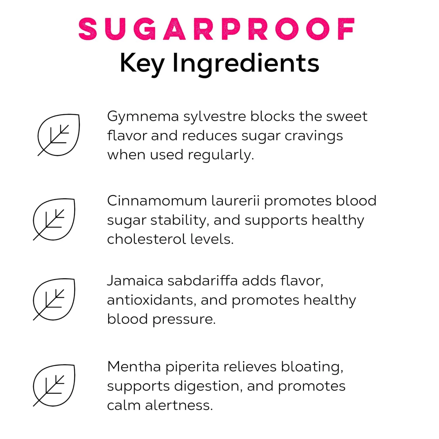 Sugar-Busting Tea Bundle - Image 10
